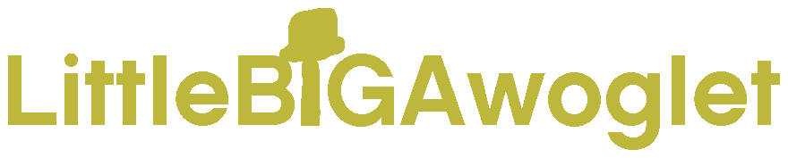 LittleBigAwoglet